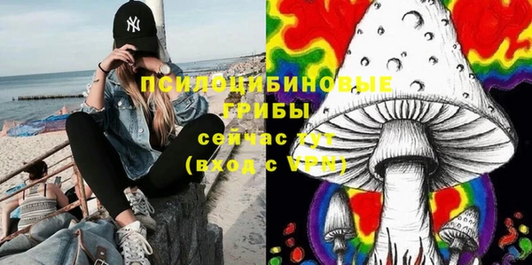 прущий лед Пестово