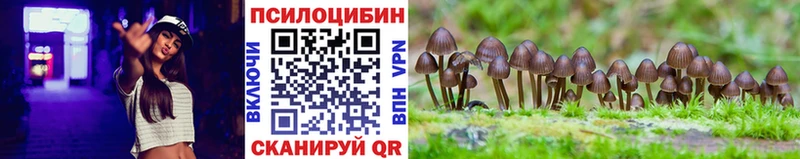 Купить где  Тырныауз  Галлюциногенные грибы мицелий 